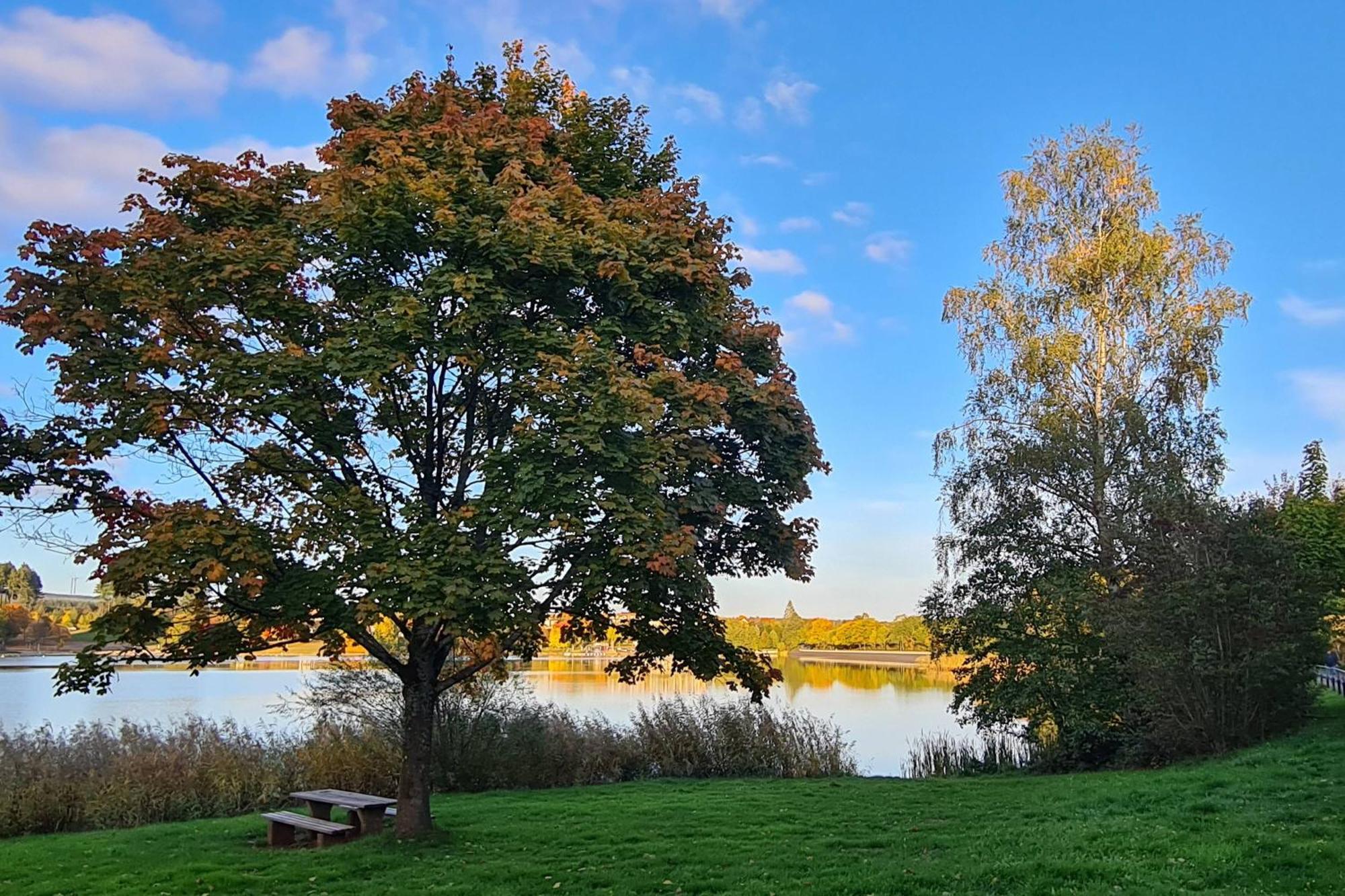 Draussen Am See Losheim Exteriör bild